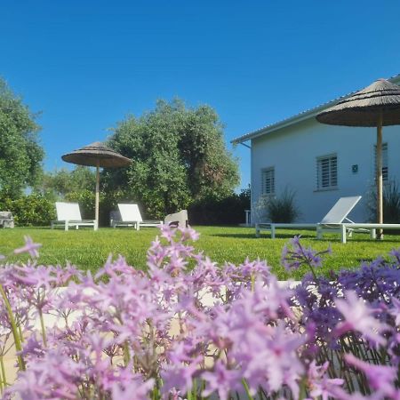 La Maison - Boutique Rooms Sperlonga Eksteriør billede
