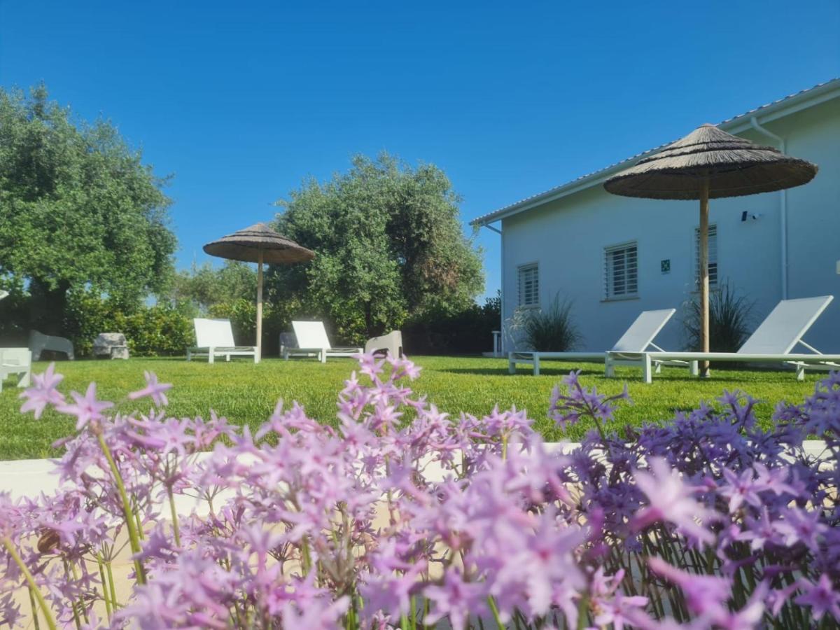 La Maison - Boutique Rooms Sperlonga Eksteriør billede